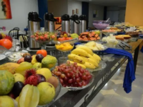 Excellence Plaza Hotel Hotels in Botucatu