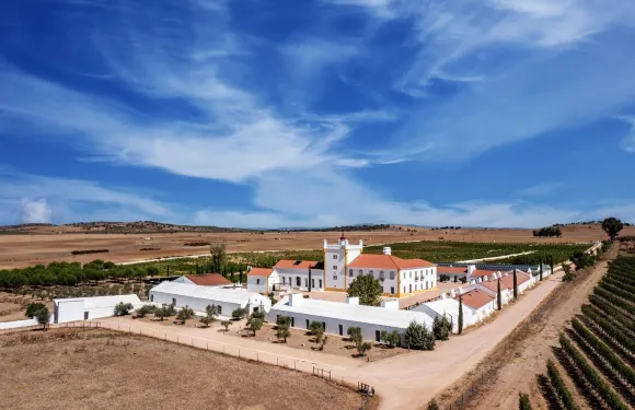 設計酒店的會員，蒙福特的Torre de Palma葡萄酒酒店