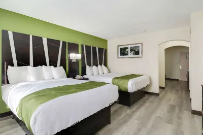 Quality Suites Albuquerque Airport Hotels in Albuquerque
