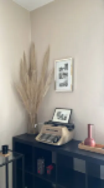 Mosquito Guest House 2