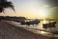 Playa Palms Beach Hotel - Ocean View