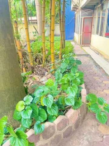 Hoang Mam Hotel Отели в г. Тхайнгуен