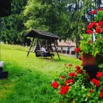 Elexus Boutique Hotels in Azuga