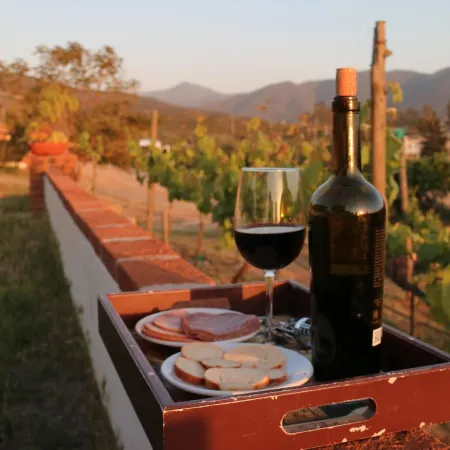 Quinta Sofia Valle de Guadalupe