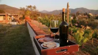 Quinta Sofia Valle de Guadalupe - vue sur la montagne