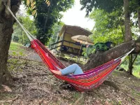 The Casita Amarilla del Yunque
