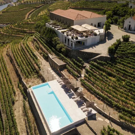 Quinta de Sao Luiz the Vine House