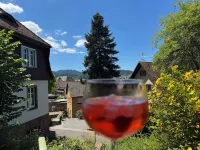 Romantic gem, Black Forest & Europapark