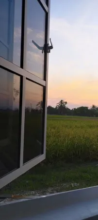 D Paddy HR Guest House