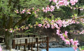Hongseong K Pension