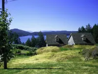 Moonlit Cove B&B