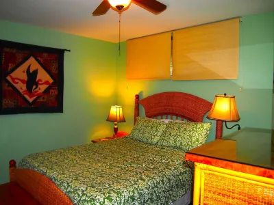 Sea Village #4210 Ocean Front Lanai!