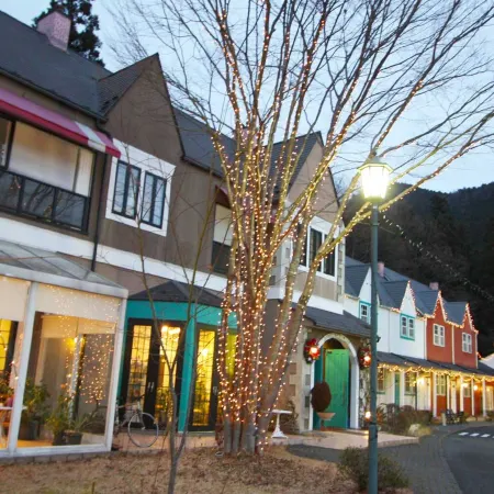 Hotel Euro City