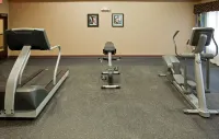 Holiday Inn Express & Suites Austin South-Buda by IHG - Gym