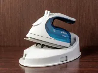 니시테쓰 인 고치 하리마야바시