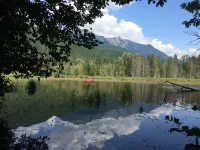 The Little Tiny Cabin "LTC"