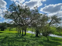 First letting after renovation Hotels in Obligado