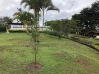 CASA MARIA, LAGO CALIMA Hotels in Calima