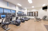 Embassy Suites by Hilton St. Louis St. Charles - Gym