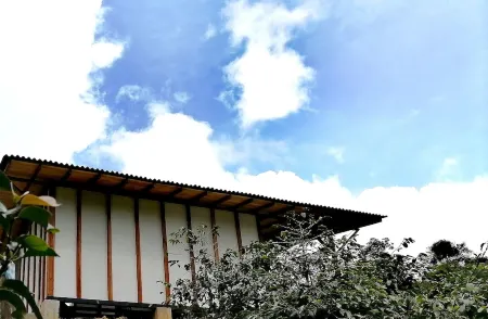 MoiraEcolodge - El Porvenir Cabin. Relax and rest in our space