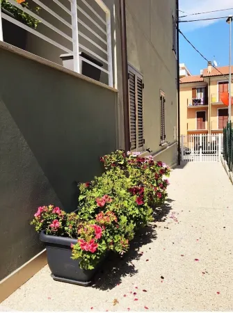 BLUE HOUSE Отели в г. Porto Sant'Elpidio