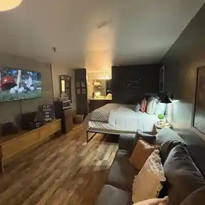 113 -The Sandlot- King Suite & Silver Dollar City Gem! Rooms
