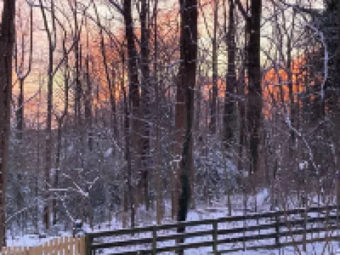 Annapolis Area Gem for Family and Friends Hotels in Parole