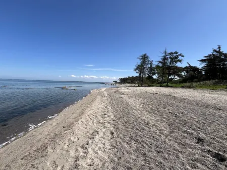 "Hjalmine" - 225m from the sea Отели в г. Калуннборг