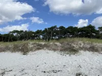 "Sonya" - 350m from the sea - 3-Star