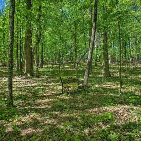 Numerous on-Site Trails Earlysville Wooded Cabin