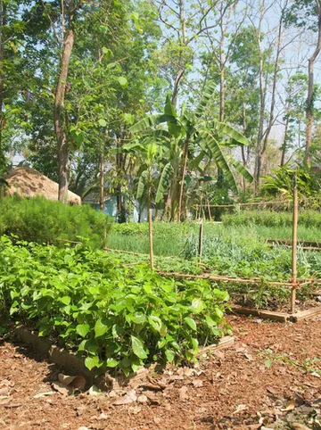 รูปภาพของโมโนซีรอส รีสอร์ท