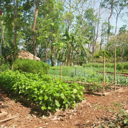 Monoceros Resort