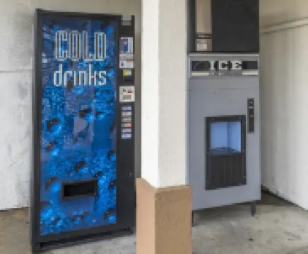 레드 루프 인 치플리