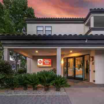 Best Western Plus Palm Court Hotel Hotel Exterior