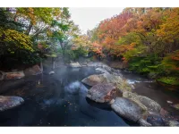 Kurokawaonsen Yamamizuki Hotels in Minamioguni