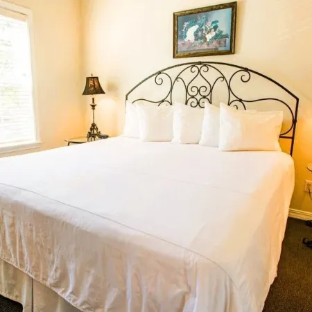 French Quarter Resort by CoolVacay