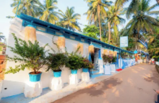 Viik wellness inn 3-Star Resort in Arambol Beach