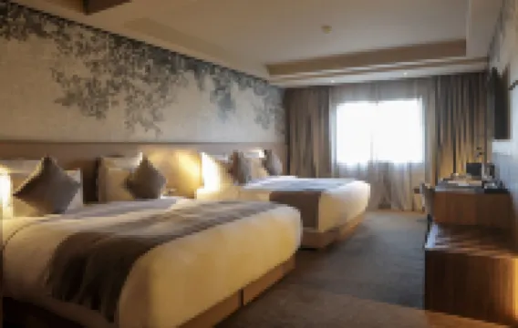 布蘭卡城市別墅酒店 酒店