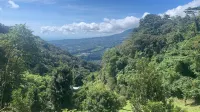 博克特雲霧森林旅館 - 溫泉