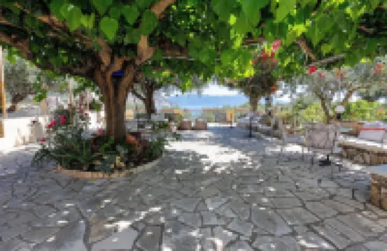 발라스 아파트먼츠