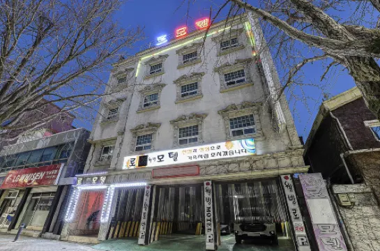 Daegu Gyeongbuk University Rose