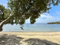 Escape to Paradise: Experience Luxury and Serenity at Villa Elina in Sithonia! -  Ferienhäuser