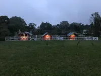 El Oasis Organic Farm - 民宿