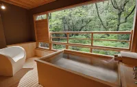 Araya Totoan - Hot Springs