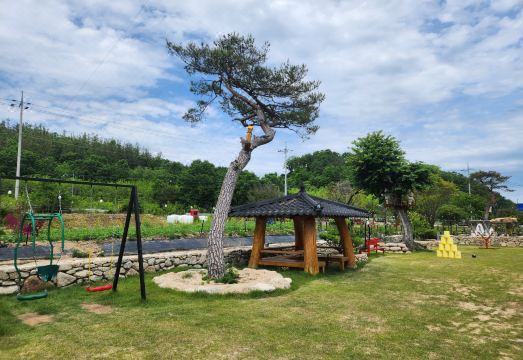 이지파크 수영장 전경