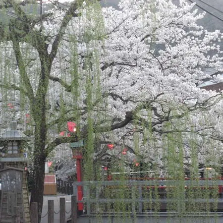 Matsuya
