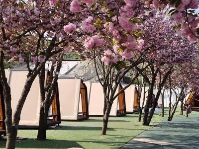 Cheongdo Provence Glamping