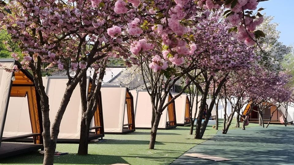 Cheongdo Provence Glamping