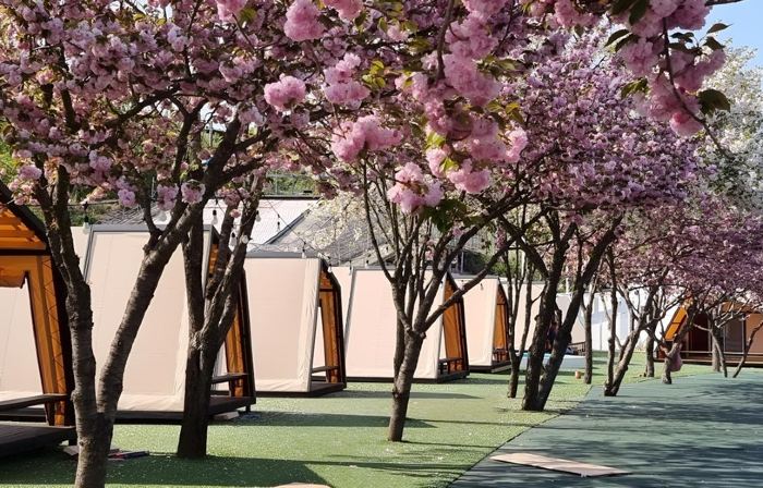 Cheongdo Provence Glamping