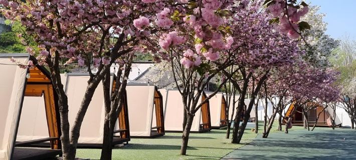 Cheongdo Provence Glamping 清道郡住宿飯店